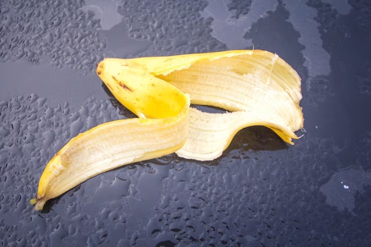 sampah dapur untuk pupuk, pupuk organik dari kulit pisang, manfaat ampas kopi untuk tanaman, cangkang telur untuk tanaman, ampas kelapa pupuk, berkebun ramah lingkungan, tips tanaman subur di rumah
